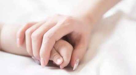 上海九院做试管费用和成功率曝光，成功率到底怎么样？