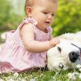 RFG技术如何帮助患者通过试管婴儿成功怀孕？