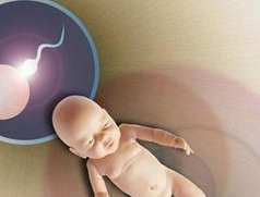 35%染色体嵌合率移植决策需谨慎考虑